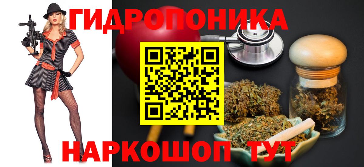 Бошки Шишки семена  МАРИХУАНА ГИДРОПОН  Вход с VPN  Оренбург  МАРИХУАНА конопля  Конопля конопля 